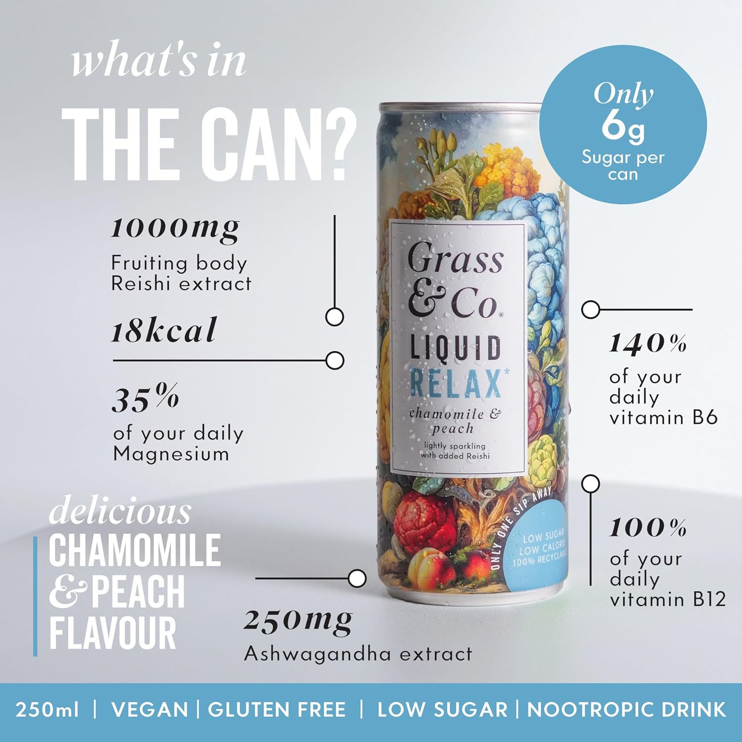 Grass & Co. Nootropics Drinks with Magnesium, Ashwagandha, Vitamin B12, Vitamin B6,Vegan | 12 x 250ml Cans