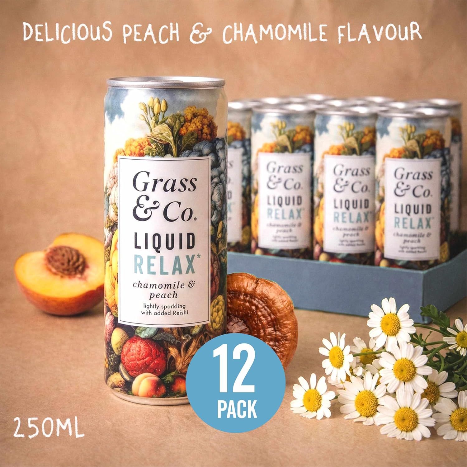 Grass & Co. Nootropics Drinks with Magnesium, Ashwagandha, Vitamin B12, Vitamin B6,Vegan | 12 x 250ml Cans